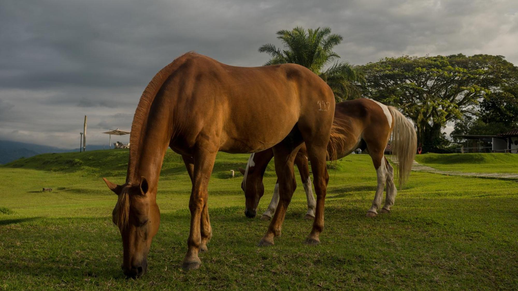 Rancho Eden El Edén