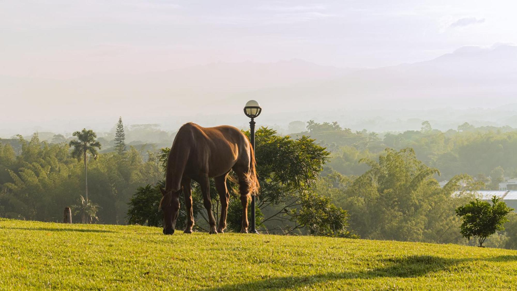 Hotel Rancho Eden El Edén